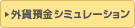 �O�ݗa���V�~�����[�V����
