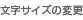 文字サイズの変更