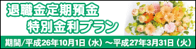 �ސE������a�����ʋ����v����