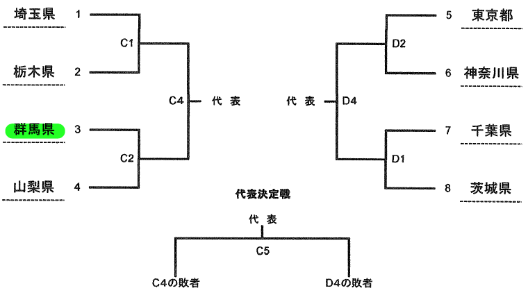 特別国民体育大会関東ブロック大会