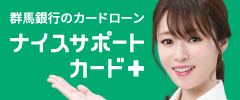ナイスサポートカード＋