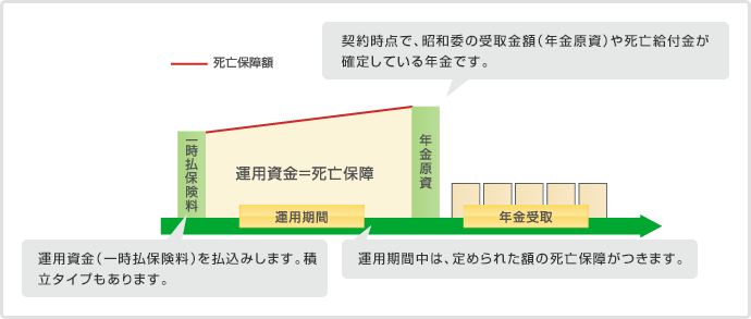 一般的な「定額個人年金保険」の仕組図